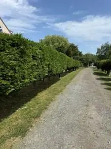 Grounds maintained by PG Groundcare at West Horndon Scout Hut